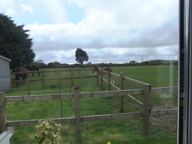  Caballos 